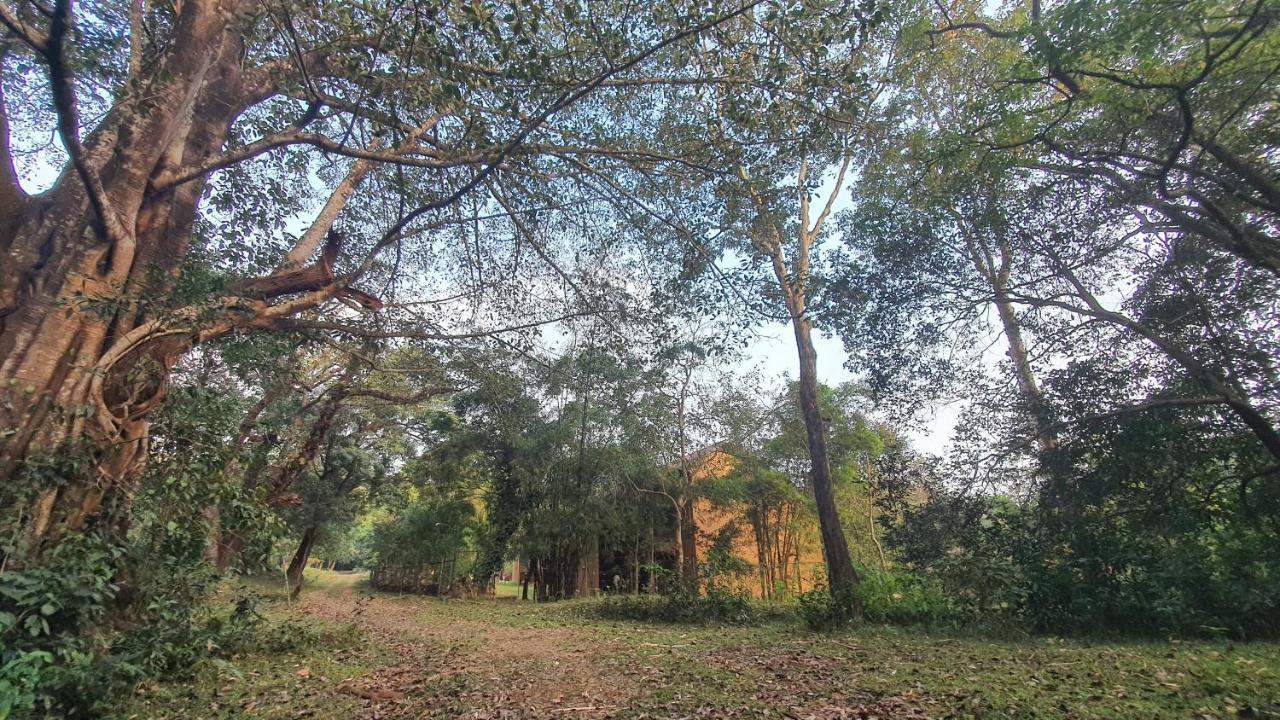 Klov Resort & Spa Wayanad Bagian luar foto